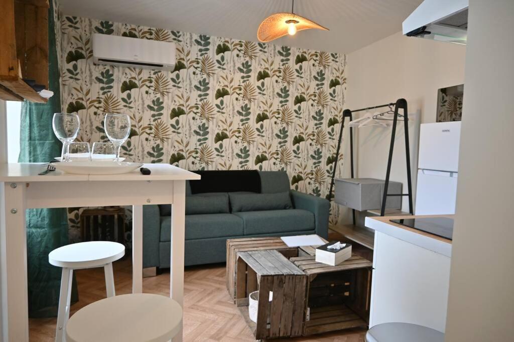 Appartement Le Botanique Centre Clim Wifi *