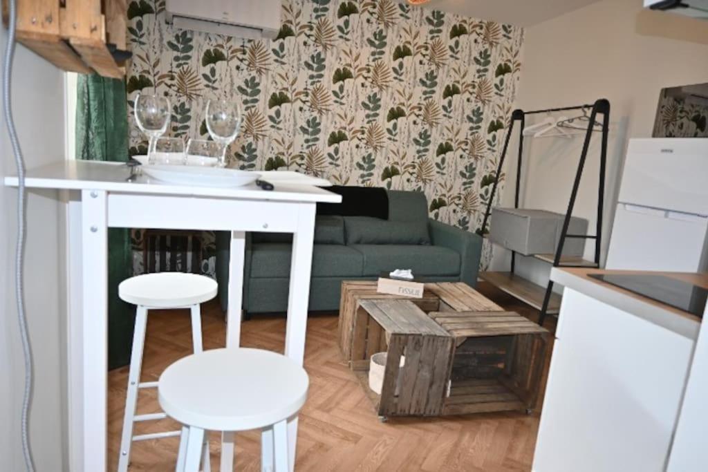 Appartement Le Botanique Centre Clim Wifi *